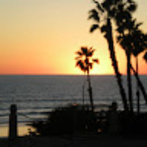 Meet your Posher, Lynne